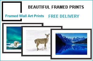 Beautiful Framed Wall Art Prints